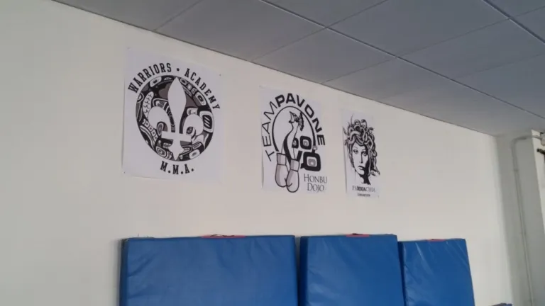 I loghi di Warriors Academy MMA, Team Pavone e Pammachia sulla parete, sopra i materassini